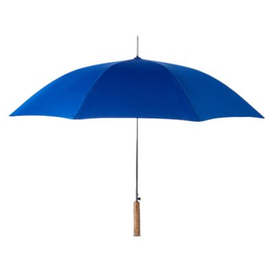 Stick Umbrella Thumbnail