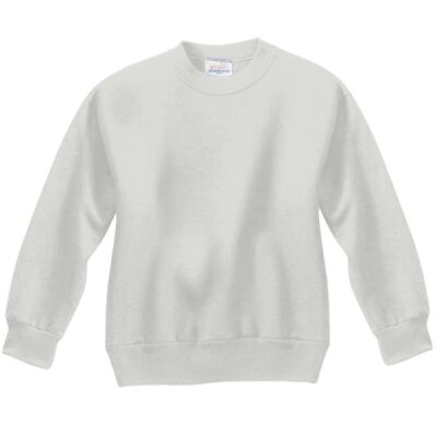 Youth ComfortBlend® EcoSmart® Fleece Crew Thumbnail