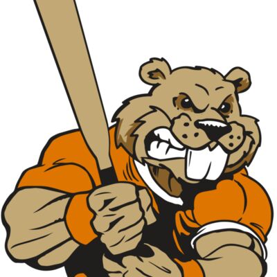 AR4 BEAVER 04 RQC Thumbnail