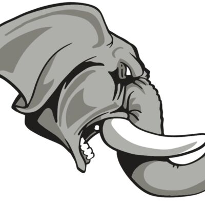 AR ELEPH 20 RC Thumbnail