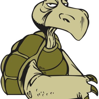 AR5 Turtle 01 RQC Thumbnail