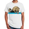 Ultra Cotton™ 100% Cotton T Shirt Thumbnail