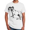Ultra Cotton™ 100% Cotton T Shirt Thumbnail