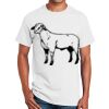 Ultra Cotton™ 100% Cotton T Shirt Thumbnail