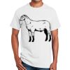 Ultra Cotton™ 100% Cotton T Shirt Thumbnail