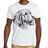 HiDensi T™ 100% Cotton T Shirt Thumbnail
