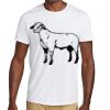 HiDensi T™ 100% Cotton T Shirt Thumbnail