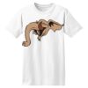 ComfortSoft® Heavyweight 100% Cotton T Shirt Thumbnail