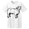ComfortSoft® Heavyweight 100% Cotton T Shirt Thumbnail