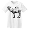ComfortSoft® Heavyweight 100% Cotton T Shirt Thumbnail