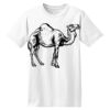 ComfortSoft® Heavyweight 100% Cotton T Shirt Thumbnail