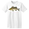 ComfortSoft® Heavyweight 100% Cotton T Shirt Thumbnail