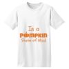 ComfortSoft® Heavyweight 100% Cotton T Shirt Thumbnail