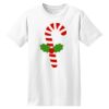 ComfortSoft® Heavyweight 100% Cotton T Shirt Thumbnail