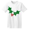 ComfortSoft® Heavyweight 100% Cotton T Shirt Thumbnail