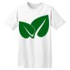 ComfortSoft® Heavyweight 100% Cotton T Shirt Thumbnail