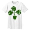 ComfortSoft® Heavyweight 100% Cotton T Shirt Thumbnail