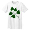 ComfortSoft® Heavyweight 100% Cotton T Shirt Thumbnail
