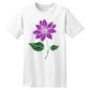 ComfortSoft® Heavyweight 100% Cotton T Shirt Thumbnail