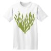 ComfortSoft® Heavyweight 100% Cotton T Shirt Thumbnail