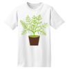ComfortSoft® Heavyweight 100% Cotton T Shirt Thumbnail