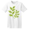 ComfortSoft® Heavyweight 100% Cotton T Shirt Thumbnail