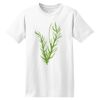 ComfortSoft® Heavyweight 100% Cotton T Shirt Thumbnail