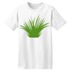 ComfortSoft® Heavyweight 100% Cotton T Shirt Thumbnail