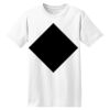 ComfortSoft® Heavyweight 100% Cotton T Shirt Thumbnail
