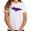 Ladies Essential T Shirt Thumbnail