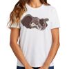Ladies Essential T Shirt Thumbnail