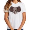 Ladies Essential T Shirt Thumbnail