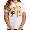 Ladies Essential T Shirt Thumbnail
