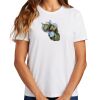 Ladies Essential T Shirt Thumbnail