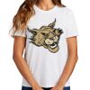Ladies Essential T Shirt Thumbnail