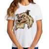 Ladies Essential T Shirt Thumbnail
