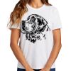 Ladies Essential T Shirt Thumbnail
