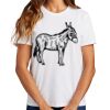Ladies Essential T Shirt Thumbnail