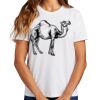 Ladies Essential T Shirt Thumbnail