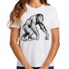 Ladies Essential T Shirt Thumbnail