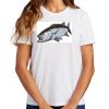 Ladies Essential T Shirt Thumbnail