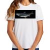 Ladies Essential T Shirt Thumbnail