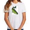 Ladies Essential T Shirt Thumbnail