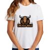Ladies Essential T Shirt Thumbnail