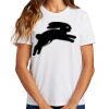 Ladies Essential T Shirt Thumbnail
