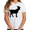 Ladies Essential T Shirt Thumbnail