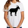 Ladies Essential T Shirt Thumbnail
