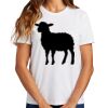 Ladies Essential T Shirt Thumbnail