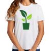 Ladies Essential T Shirt Thumbnail