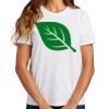 Ladies Essential T Shirt Thumbnail
